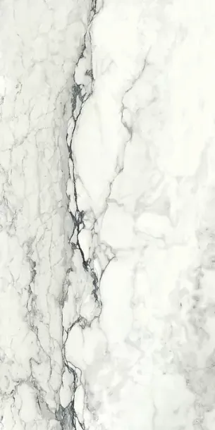 Фото Керамогранит Imola Ceramica BRECAP6 12 RM 60x120 Италия