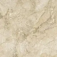 Керамогранит Nairobi Arena Rect 60x60 Фото Керамогранит Nairobi Arena Rect 60x60