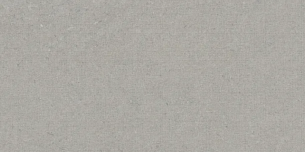 Фото Декор Tau Ceramica DC. Calcare Silver 60x120 Испания