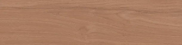 Фото Керамогранит Kerama Marazzi Аргания коричневый матовый 9,9x40,2x0,8 (KM1040G0031N) Россия