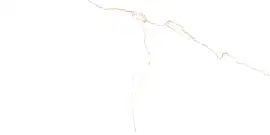 Фото Керамогранит Prissmacer Bianco Mare Gold Luxglass Rect 60x120