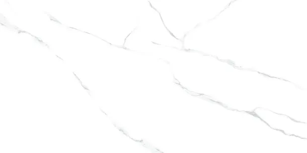 Фото Керамогранит 60120AMR00P Atlantic Marble 60x120 Индия