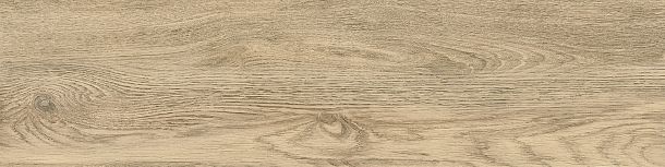 Фото Керамогранит Tanzania Beige матовый 151x602 (GP1560TAN11) Россия