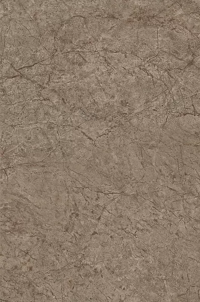 Фото Плитка 8354 Каприччо коричневый глянцевый 20x30 Россия