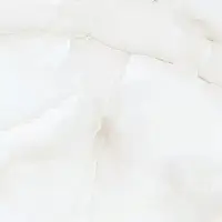 Керамогранит Onyx Majestic 60x60 (NTT995030P) Индия Фото Керамогранит Onyx Majestic 60x60 (NTT995030P)