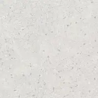 Фото Керамогранит SG632420R Терраццо серый светлый обрезной 60x60