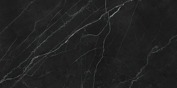 Фото Керамогранит Laparet LP6012G0201R Opera Nero чёрный матовый 59,5х119,1 Россия