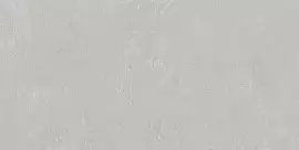 Фото Керамогранит DD203120R Про Фьюче серый светлый обрезной 30x60