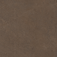 Фото Керамогранит GO03 Gobi Brown Grey неполированный 60x60
