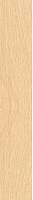 Фото Керамогранит K947907R OakWood Бежевый Матовый R10A Ректификат 20х120