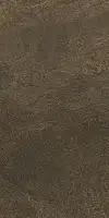Фото Керамогранит DD503920R Про Стоун коричневый обрезной 60x119.5