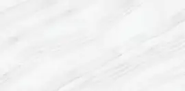 Керамогранит Palacio Stelia Light Grey Polished 60x120 Индия Фото Керамогранит Palacio Stelia Light Grey Polished 60x120