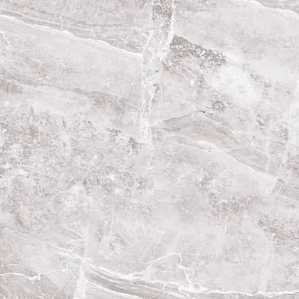 Фото Керамогранит ProGRES Ceramica GNR0132-G Магма Серый светлый граниль 600x600x9.5 Россия