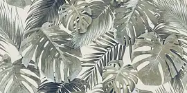 Фото Керамогранит Cifre Garden XS Areca Light Mate 60x120