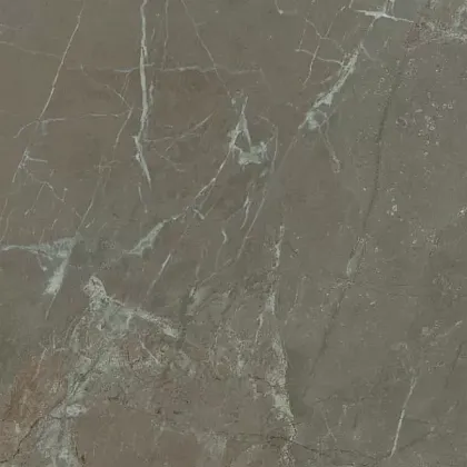 Фото Керамогранит SG172400N Кантата серый матовый 40,2x40,2 Россия