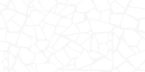 Фото Плитка WT9SML00 Smalta White 249x500 Россия