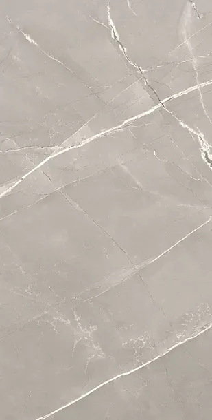 Фото Керамогранит Alpas Armani Grey Satin 60x120 Индия
