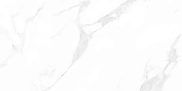 Керамогранит Carrara Anita Mat 60x120 (M4403M) для гостиной, для кухни, для ванной, для туалета, для спальни, для прихожей, на теплый пол Фото Керамогранит Carrara Anita Mat 60x120 (M4403M) Китай