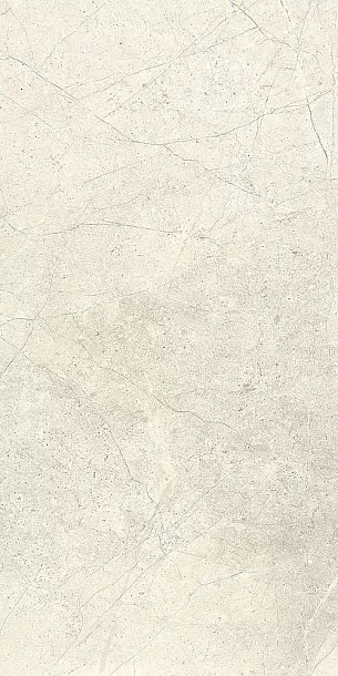 Фото Керамогранит Lea Ceramiche LGXAL15 Anthology 01 White Natural RT 9.5mm 60x120 Италия