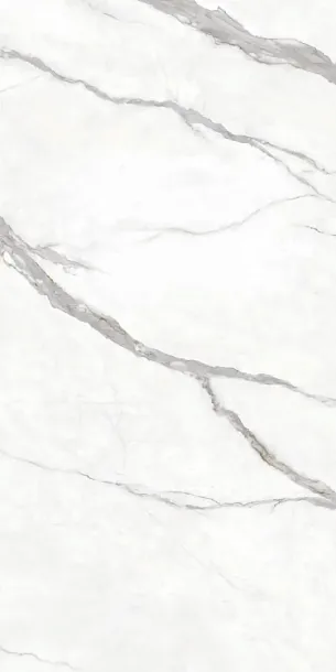 Фото Керамогранит Protiles PT12F7002 Calacatta Matt 1200х600х9 Узбекистан
