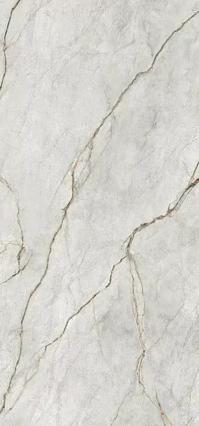 Фото Керамогранит Imola Ceramica GRE RO6 278 RM 120x278 Италия