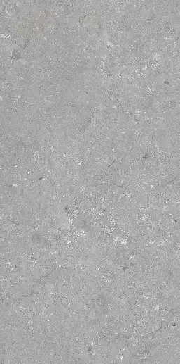 Фото Керамогранит Dado Ceramica 005485 Shellstone Grigio 60x120 Италия