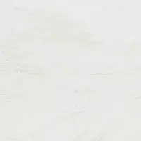 Фото Керамогранит Zeus 60x60 (ZS6NTT9701M)