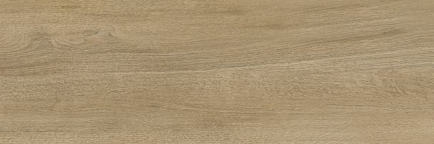 Фото Плитка Woodstyle Oak 300x900x10,5 (WT93WOS21) Беларусь