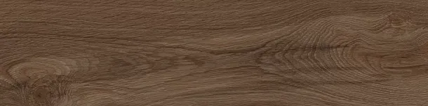 Фото Керамогранит K952685R0001LPE0 Polo Choco шоколадный 20x80 Россия