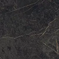 Фото Керамогранит Epoque Black Lap 60X60 (PF60004311)