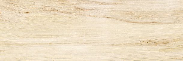 Фото Плитка Canyon Wood 246x740 (WT15CAC08R) Россия