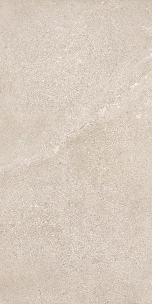 Фото Керамогранит Dado Ceramica DNWS201 New Stone Daino 60x120 Италия