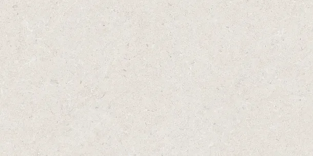 Фото Керамогранит Tau Ceramica Calcare White 60x120 Испания