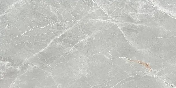 Фото Керамогранит Prissmacer Fior Di Bosca Perla Matt 60x120 Испания