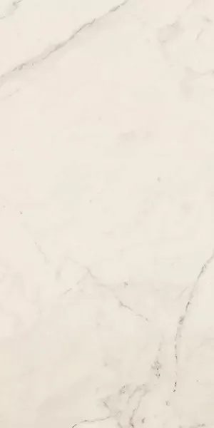Фото Керамогранит La Faenza TREX 12W RM White 60x120 Италия