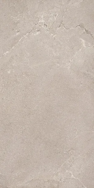 Фото Керамогранит Dado Ceramica DNWS203 New Stone Lepre 60x120 Италия