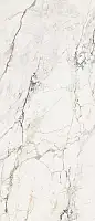 Фото Керамогранит La Faenza AE PAO6 278 LP 120x278