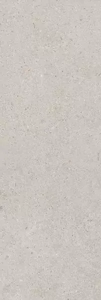 Фото Плитка 14053R Риккарди серый светлый матовый обрезной 40x120 Россия