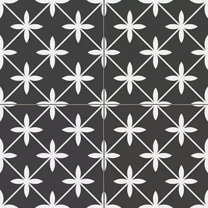 Керамогранит Star Black Pre 45x45 для кухни, для ванной, для туалета, для прихожей Фото Керамогранит Star Black Pre 45x45 Испания