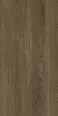 Керамогранит Protiles PT12F7040 Albero Grey Matt 1200х600х9