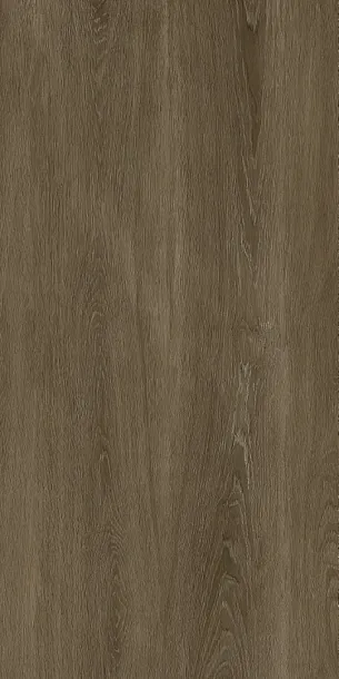 Фото Керамогранит Protiles PT12F7040 Albero Grey Matt 1200х600х9 Узбекистан