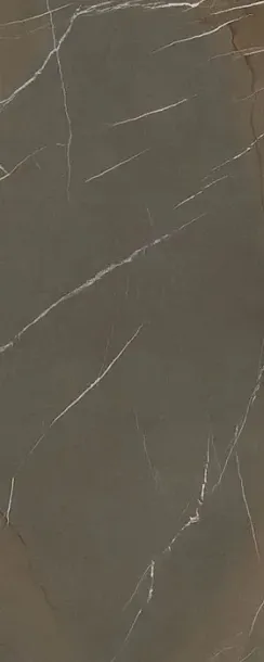 Фото Керамогранит In-Side Pietra Piasentina Taupe 5+mm 1200x3000 (LAMF009439_IT) Италия