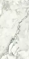 Фото Керамогранит Imola Ceramica BRECAP6 12 RM 60x120