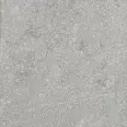 Керамогранит Alpas Fossil Gris 20mm 60x60