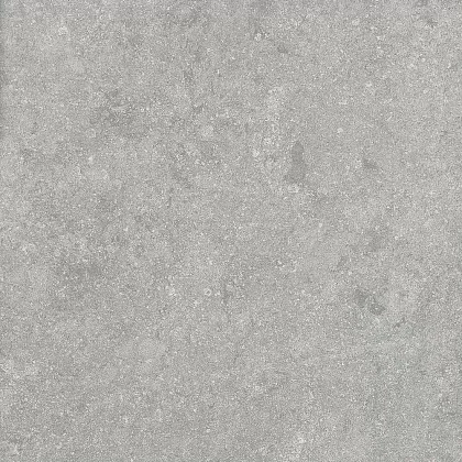 Фото Керамогранит Alpas Fossil Gris 20mm 60x60 Индия