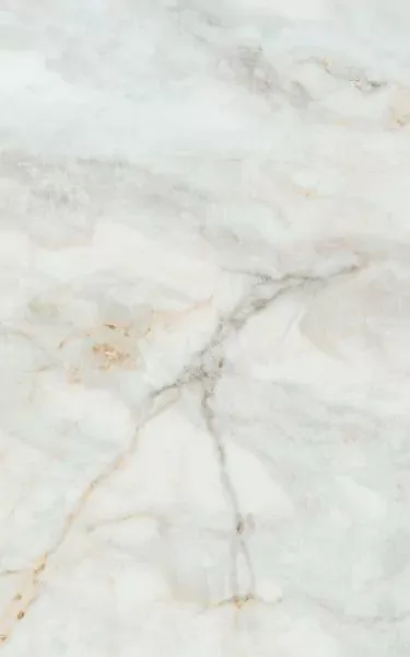 Фото Плитка 6429 Кантата белый глянцевый 25x40 Россия