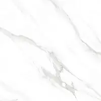 Фото Керамогранит Swizer White белый полированный 60x60