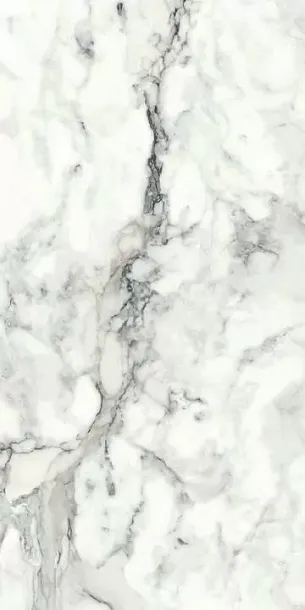 Фото Керамогранит Imola Ceramica BRECAP6 12 RM 60x120 Италия