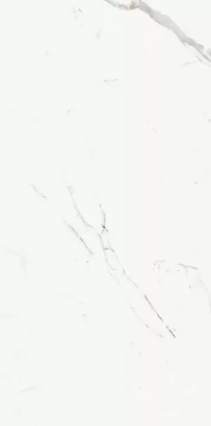 Фото Керамогранит Ariostea P612516 Statuario Classico Soft 120x60 Италия