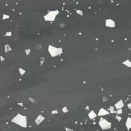 Фото Керамогранит Terratile Nero 60x60 Индия